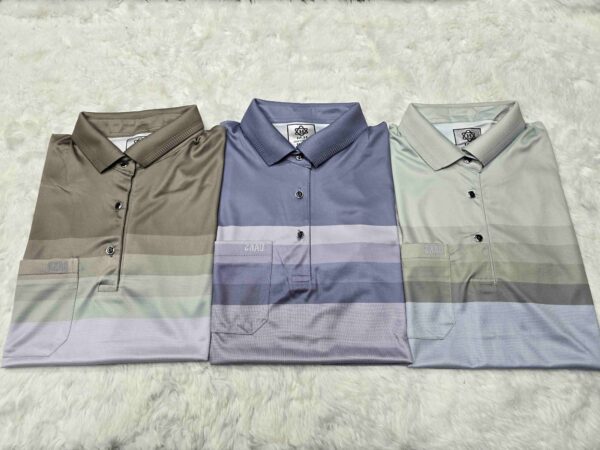 Men's premium Polo T-shirt combo